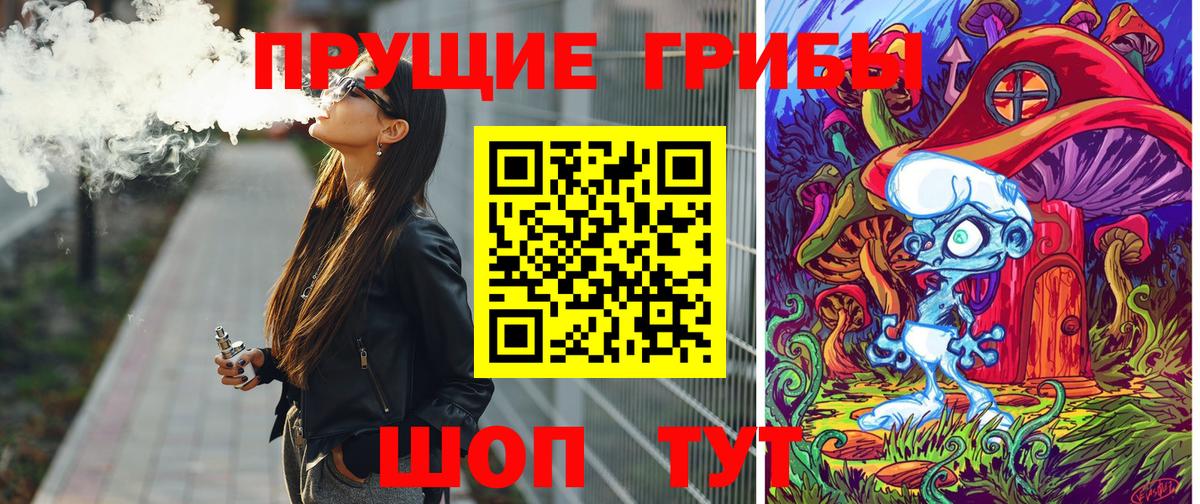 Галлюциногенные грибы Magic Shrooms  Вход с VPN  Новозыбков  Галлюциногенные грибы GOLDEN TEACHER 
