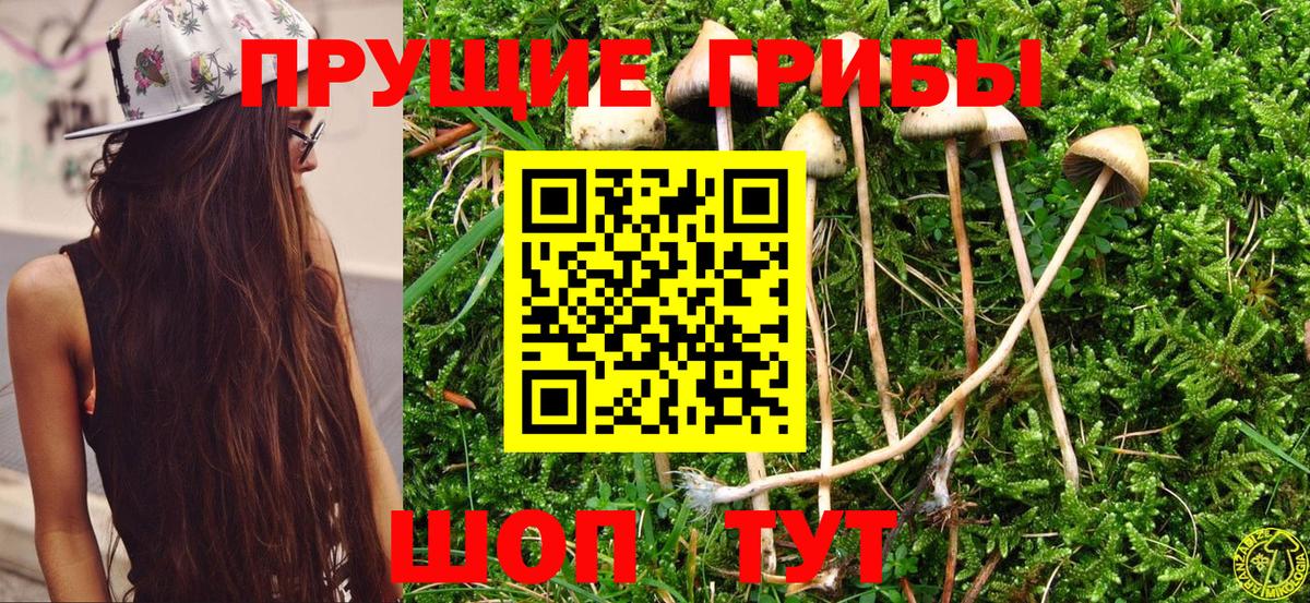 Галлюциногенные грибы Magic Shrooms Новозыбков