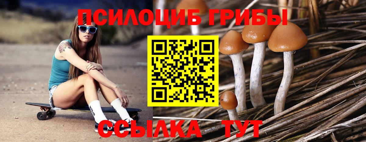 Марихуана  ГАШ  Вход с VPN  NBOMe  МЕФ   Новозыбков  КОКАИН 